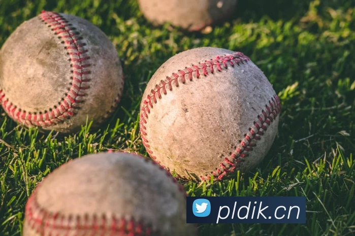 hth网页版在线登录平台生态图